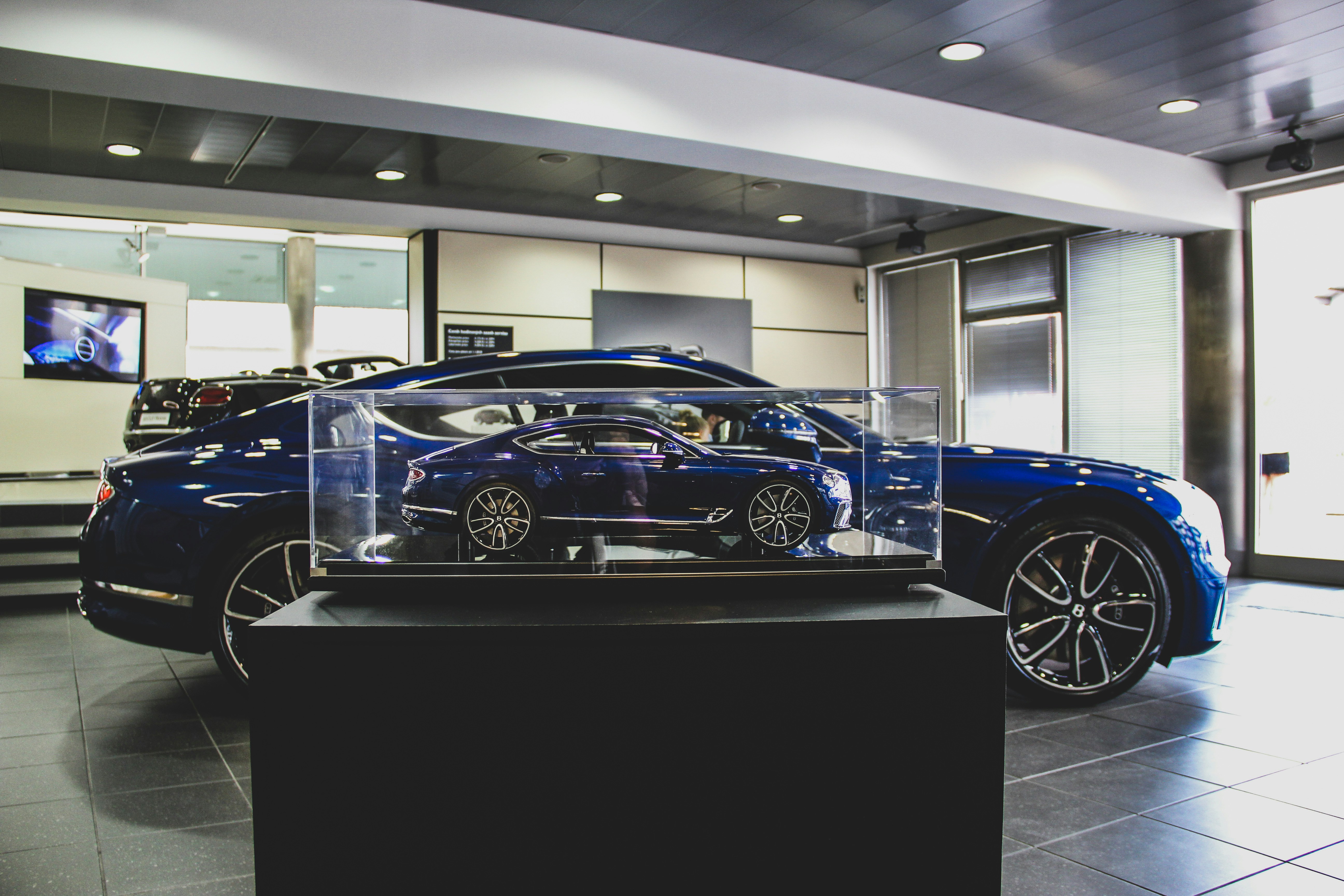 Explore Our Car Collection
