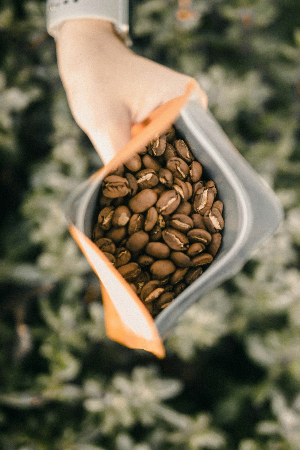 Paquete de granos de café negro