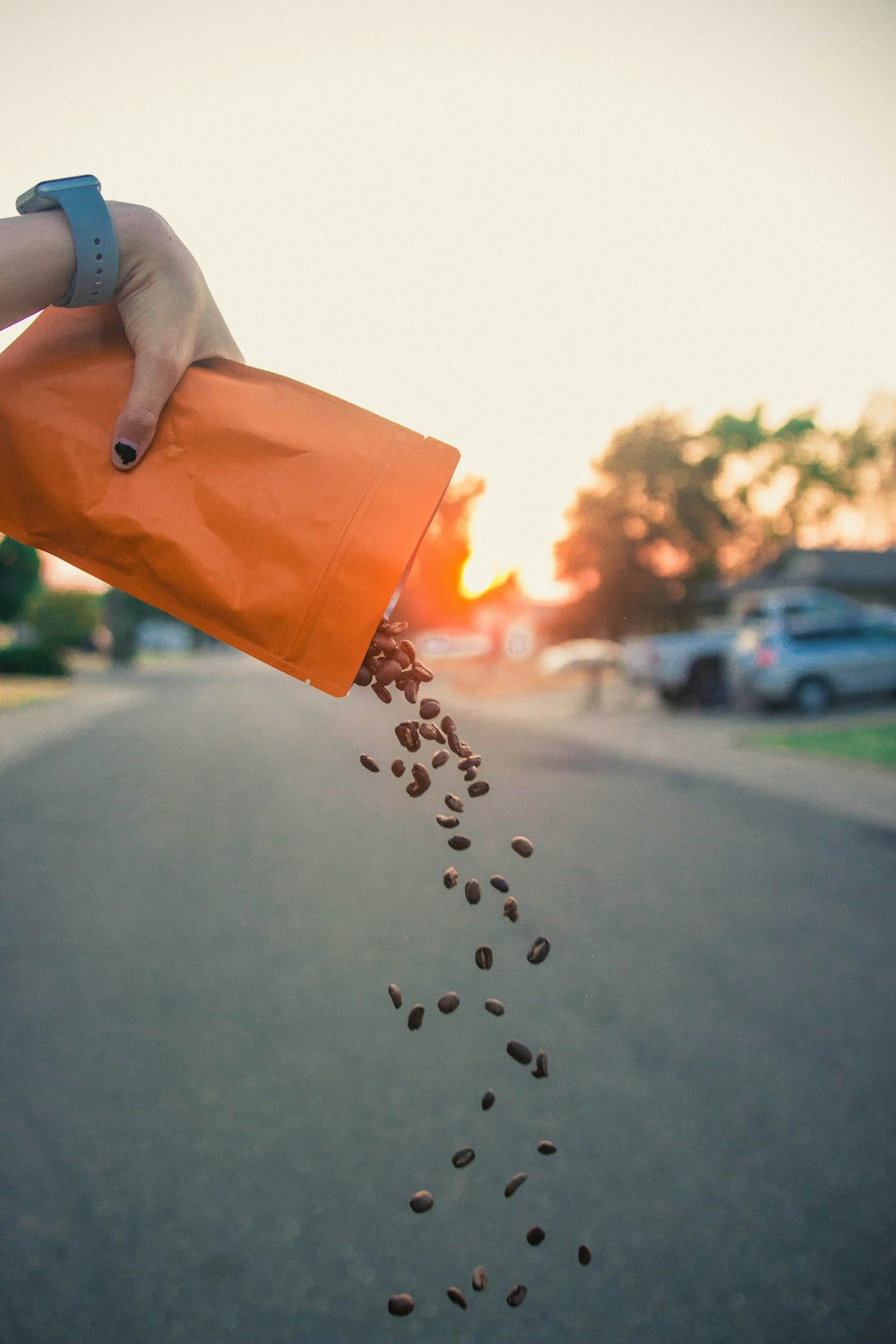 personne versant des grains de café