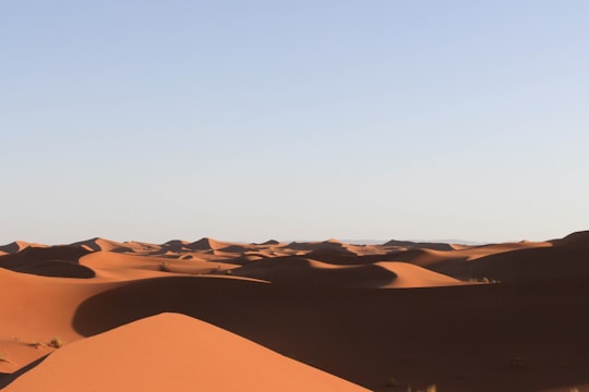 view of desert during daytime in Erg Chegaga Morocco