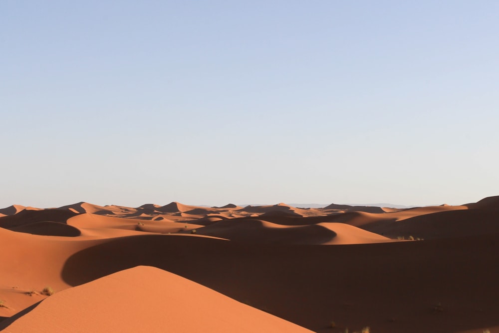 Vista del desierto durante el día