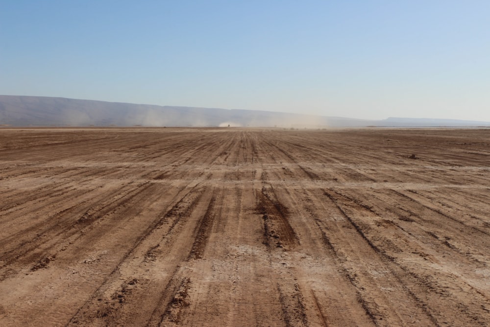 campo aberto durante o dia