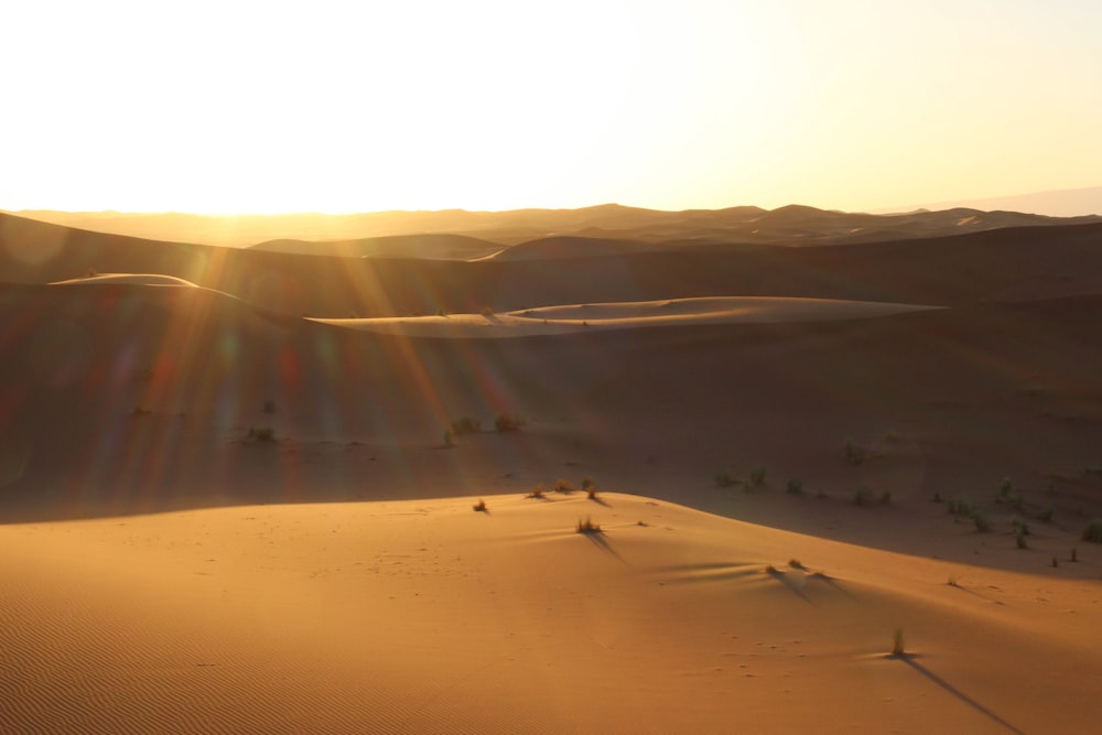 Desierto durante la hora dorada