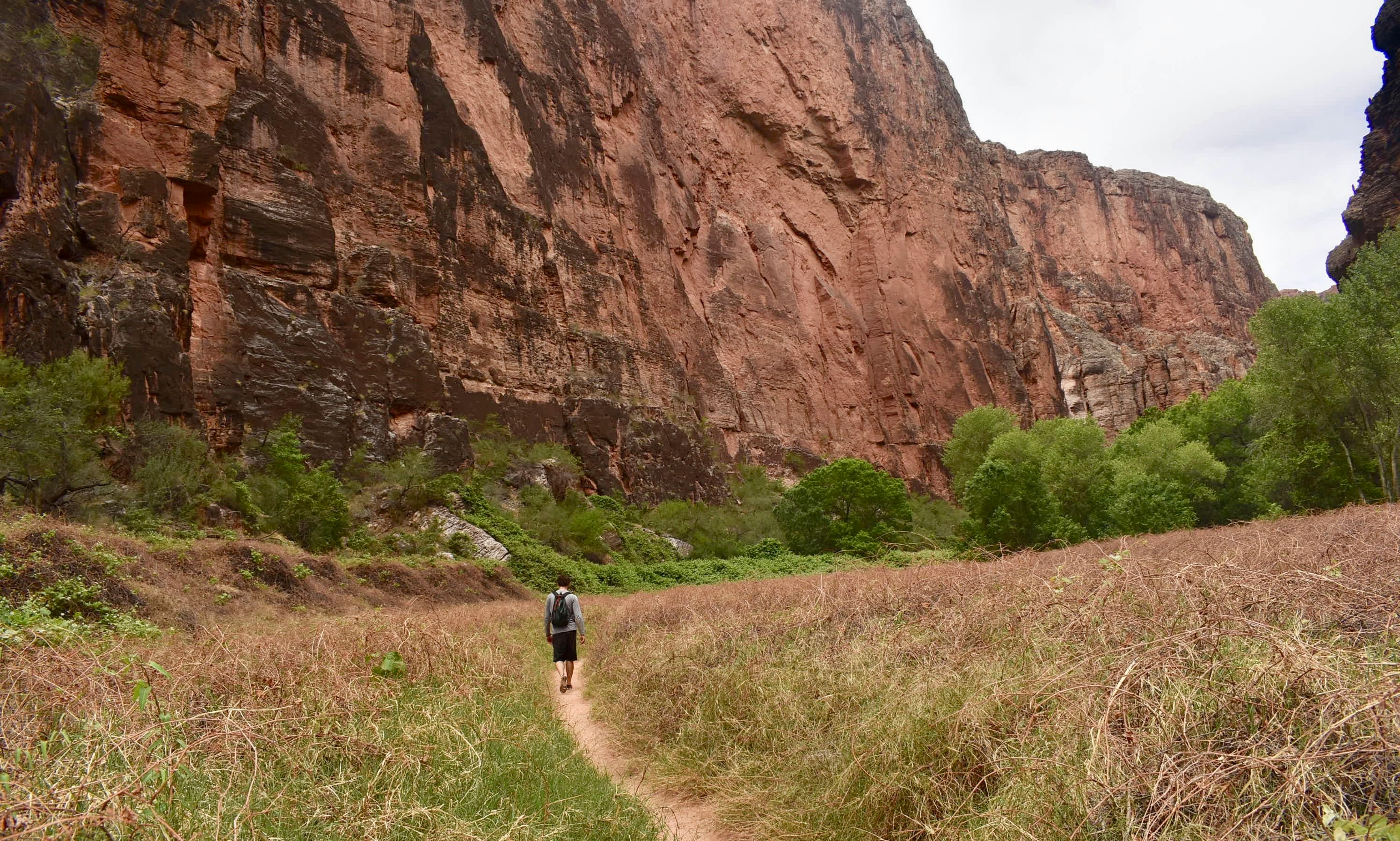 person walking down the open field towards mountain