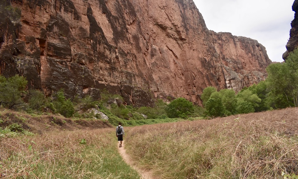 person walking down the open field towards mountain