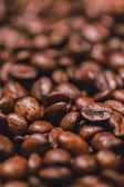 Close-up of freshly roasted coffee beans with Himalayan mountain silhouettes in the background