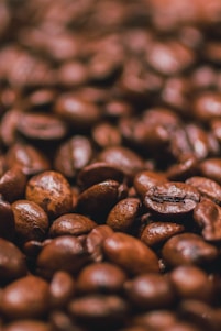 Close-up of freshly roasted coffee beans from Veracruz with mountain background.