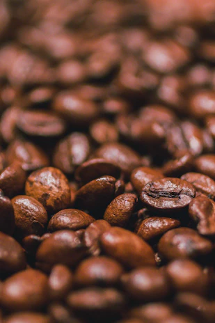 Close-up of freshly roasted coffee beans with Himalayan mountain silhouettes softly blurred in the background.