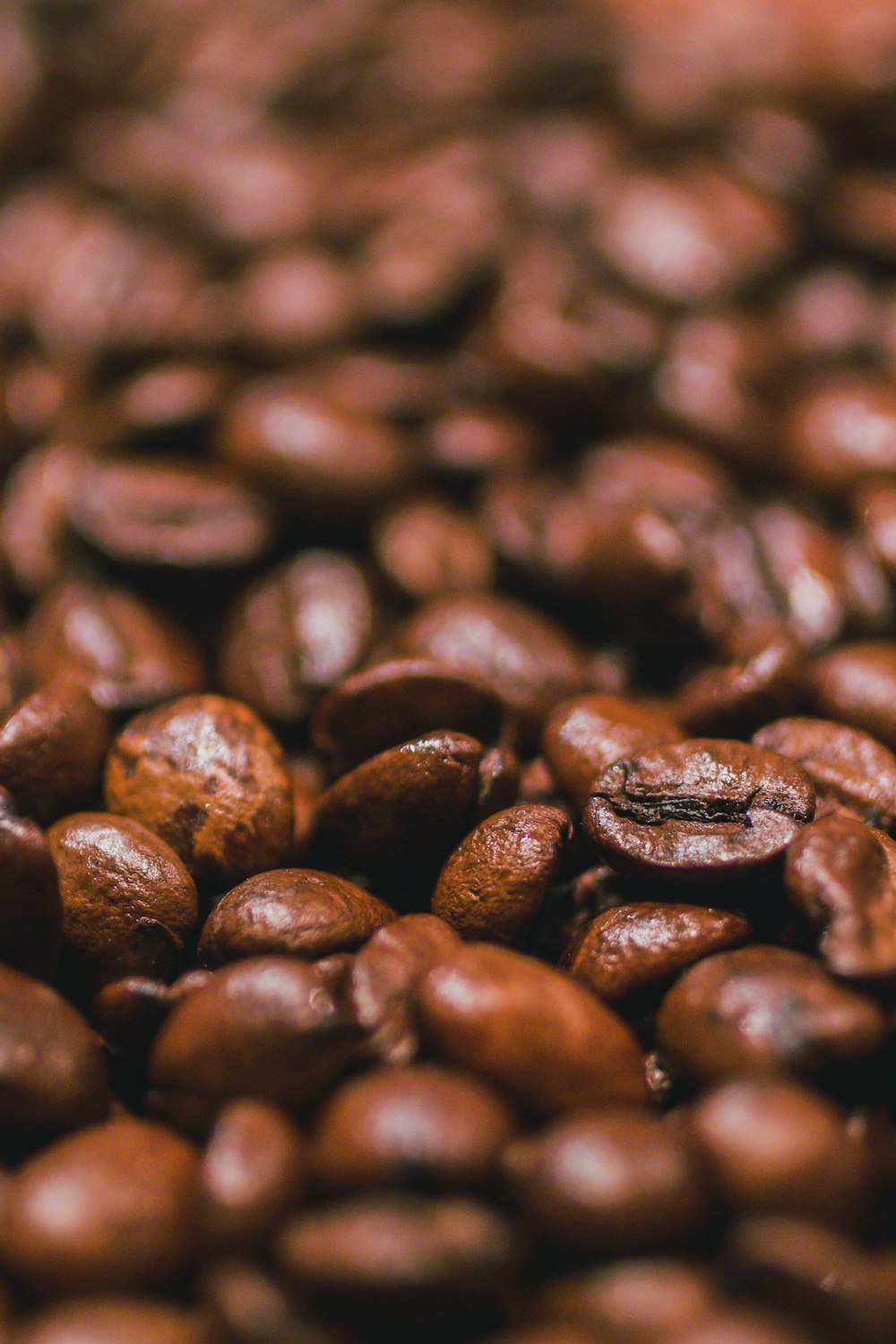 close-up photography of coffee beans