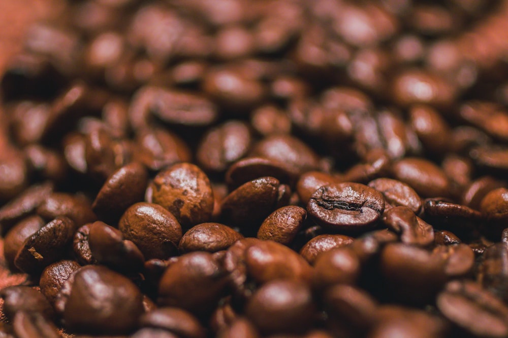 close-up photography of coffee beans