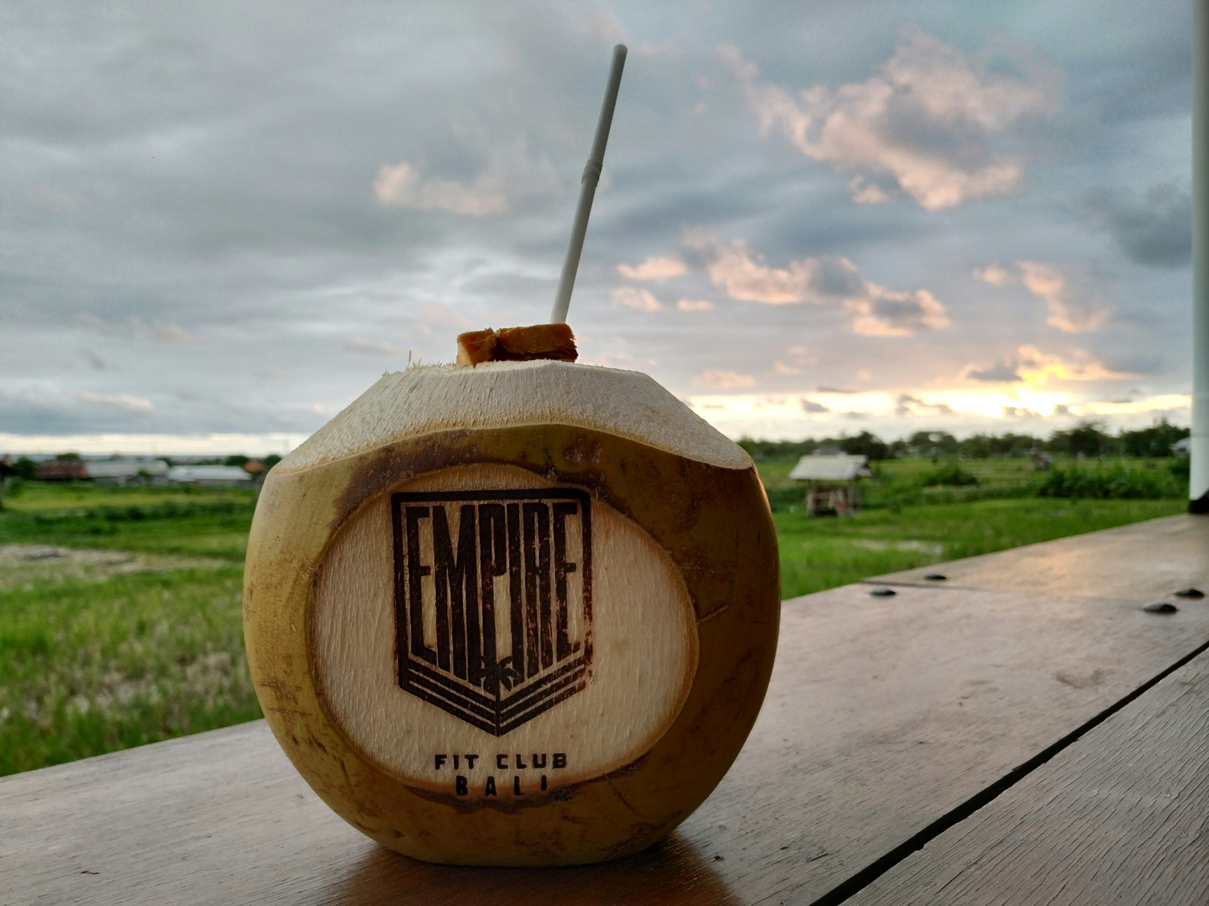 Premium Coconut Charcoal Briquettes