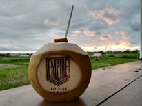 A coconut with a straw inserted sits on a wooden surface. The coconut is branded with the words 'Empire Fit Club Bali'. In the background, there is a lush green field and an overcast sky with orange-yellow tinges from a setting or rising sun.