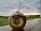 A coconut with a straw inserted sits on a wooden surface. The coconut is branded with the words 'Empire Fit Club Bali'. In the background, there is a lush green field and an overcast sky with orange-yellow tinges from a setting or rising sun.