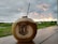 A coconut with a straw inserted sits on a wooden surface. The coconut is branded with the words 'Empire Fit Club Bali'. In the background, there is a lush green field and an overcast sky with orange-yellow tinges from a setting or rising sun.