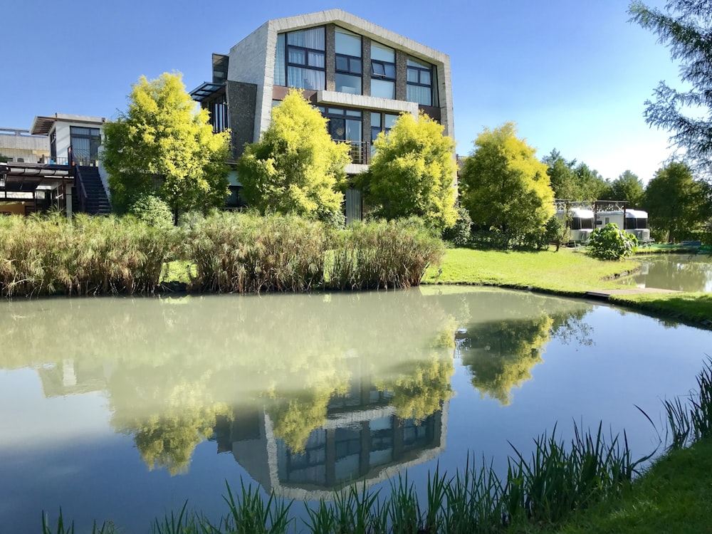 green trees and white building