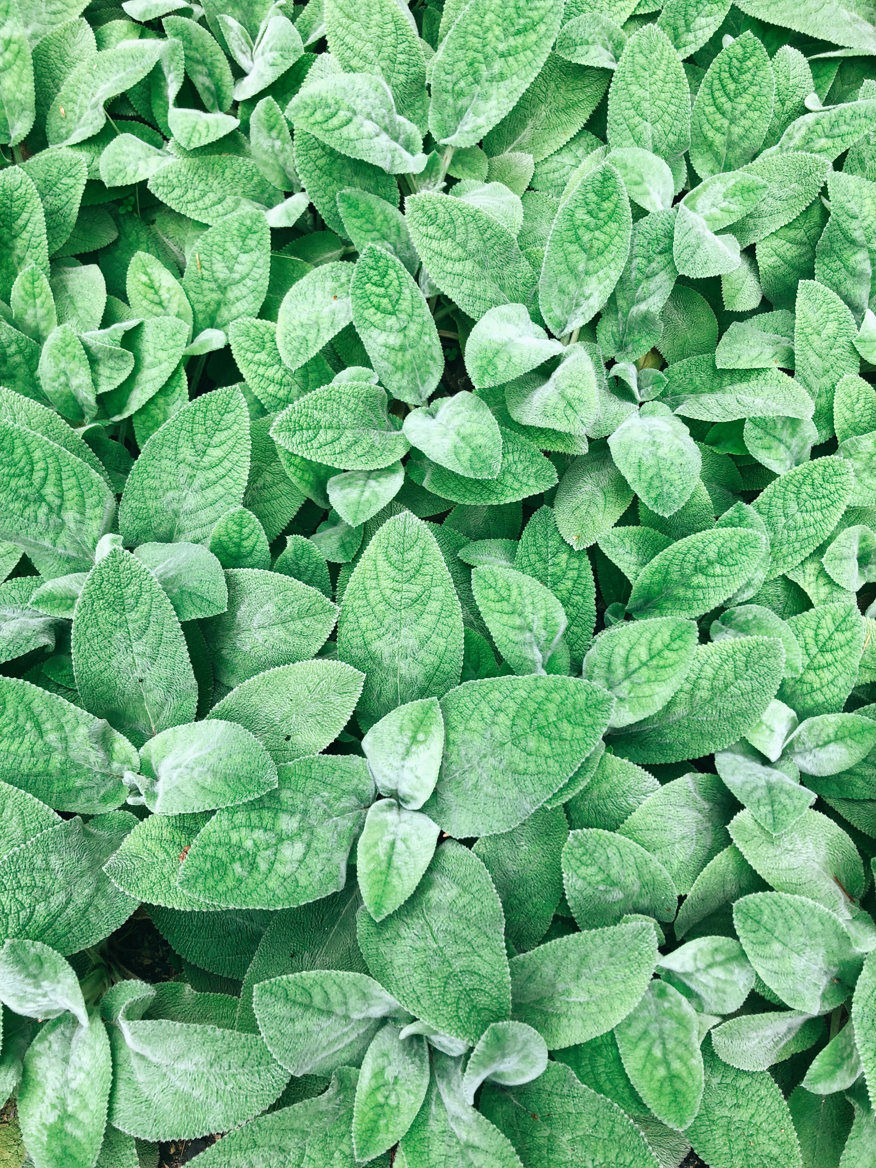 Photo by alexlowenthal