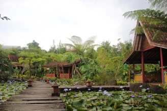A serene garden scene featuring wooden pavilions with traditional architecture, surrounded by lush greenery and tropical plants. A wooden pathway leads through the garden alongside a pond filled with blooming water lilies.