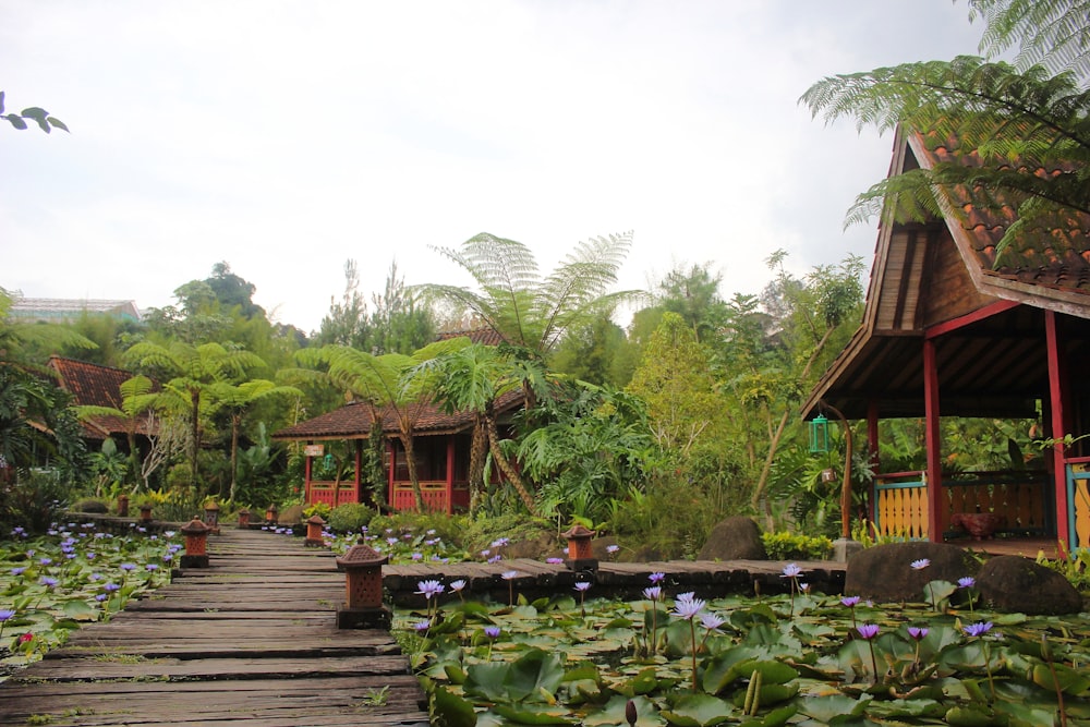 brown hut surrounded with plants