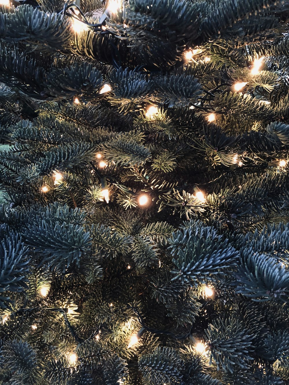 green Christmas tree with LED light