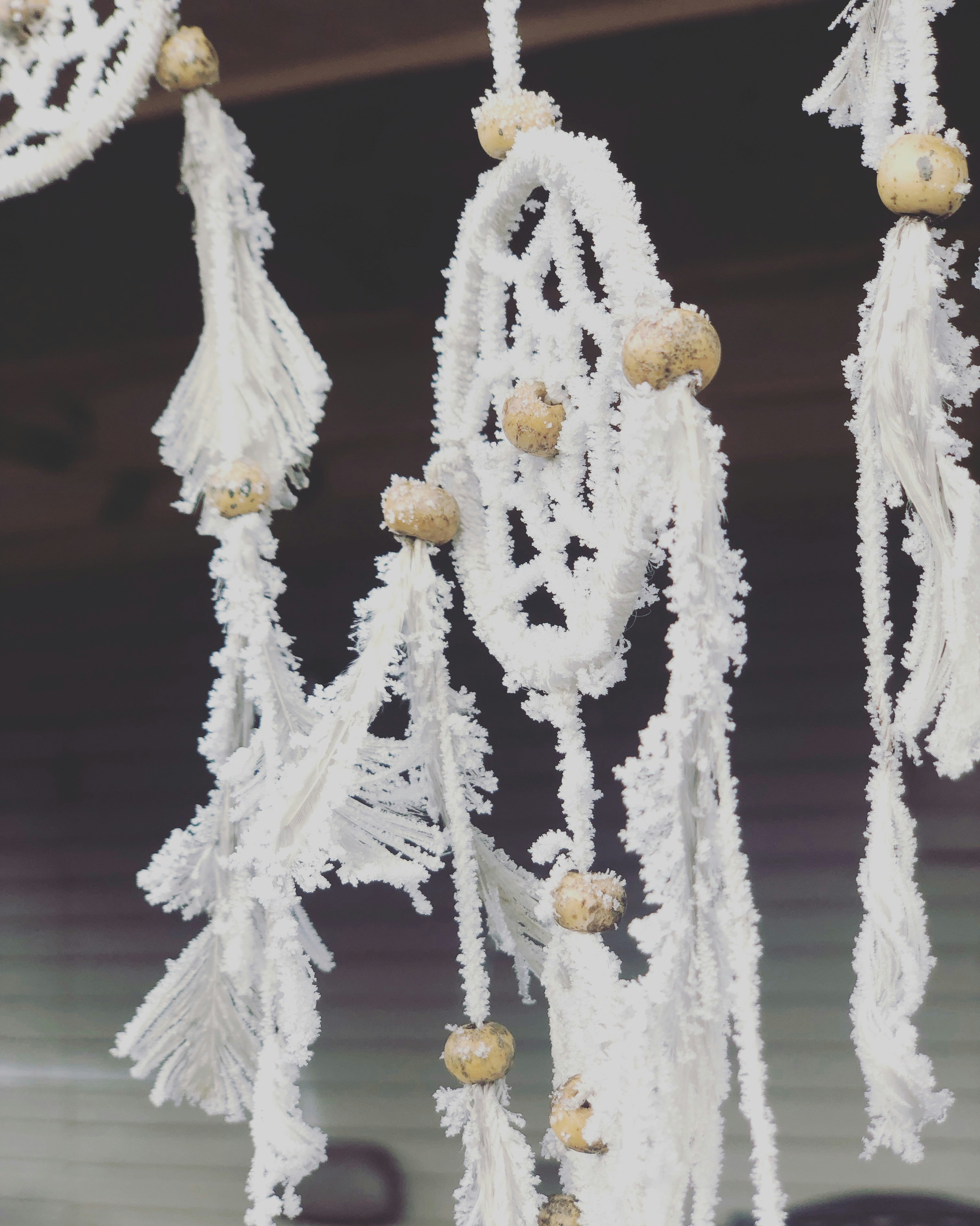 Photo by olive_picker