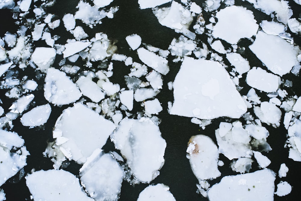 ices on body of water