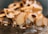 A close-up view of a dessert topped with sliced almonds, whipped cream, and a drizzle of caramel sauce. The focus is shallow, highlighting the texture and details of the toppings.