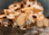 A close-up view of a dessert topped with sliced almonds, whipped cream, and a drizzle of caramel sauce. The focus is shallow, highlighting the texture and details of the toppings.