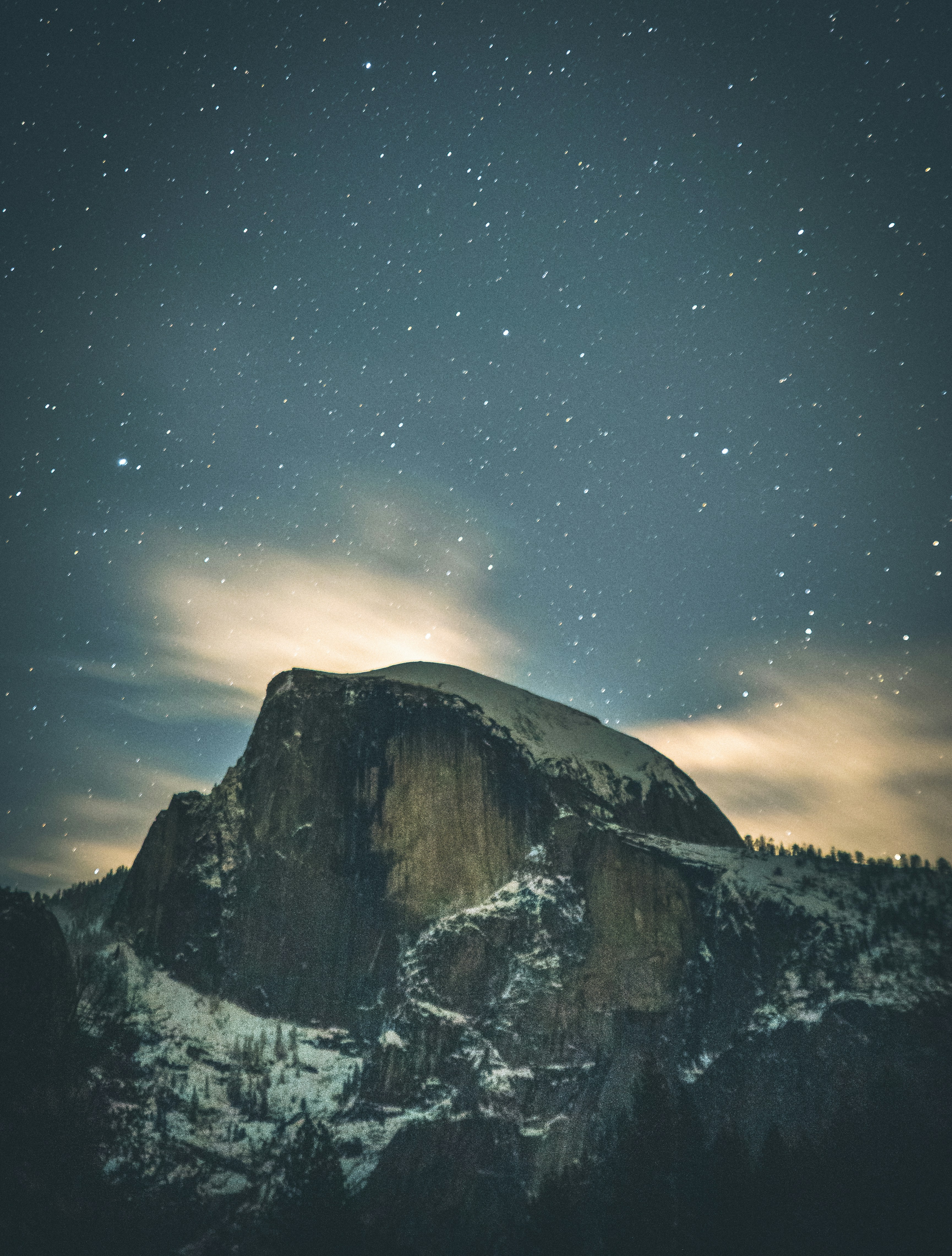 Photo by mischievous_penguins