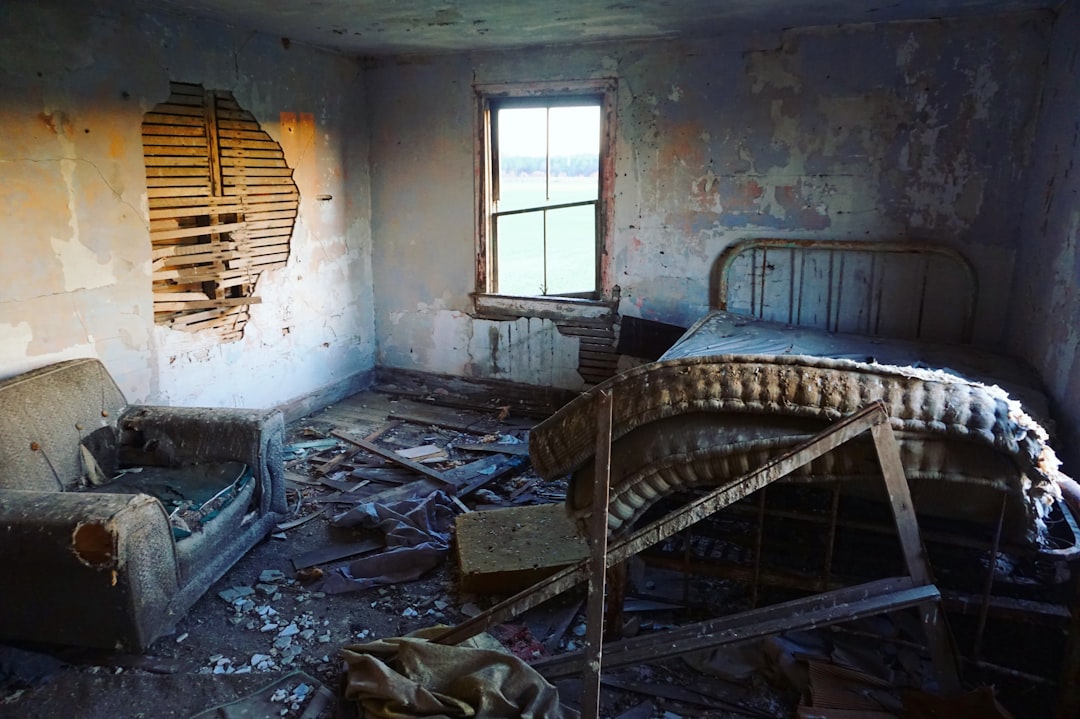 brown bed on house-Black Mold Remediation