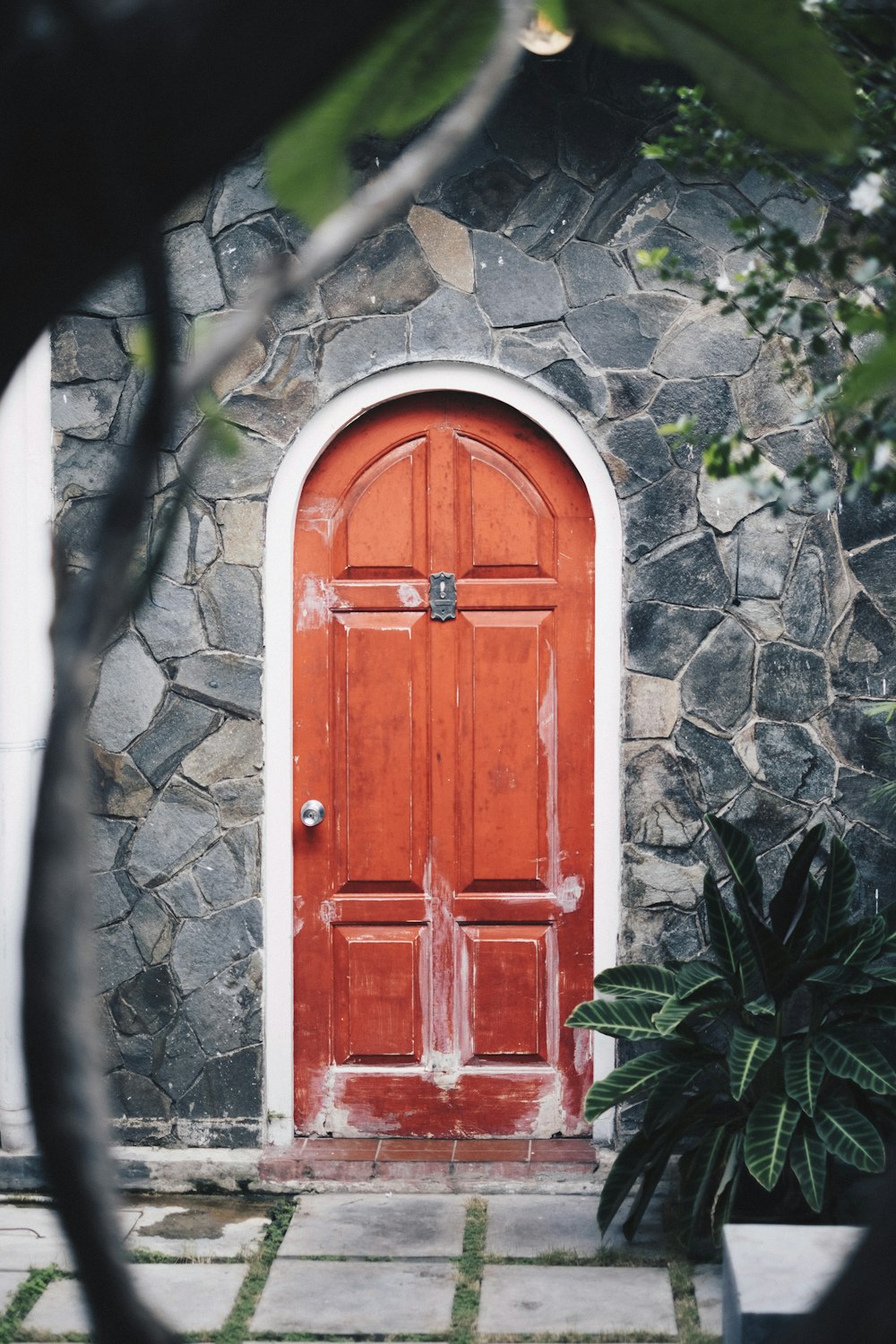 closed brown wooden panel door