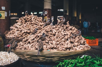 A bustling market scene featuring a large pile of ginger in a woven basket with several small birds perched on the ginger. Surrounding the ginger are piles of other produce such as garlic and green chilies in crates. The market is dimly lit, with people visible in the background.