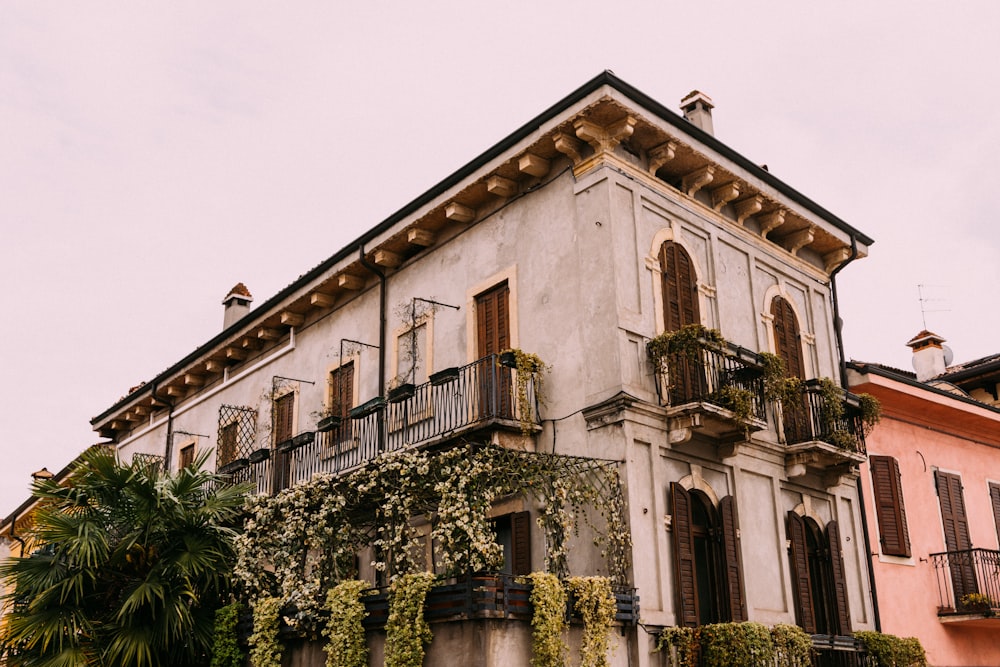 gray concrete building