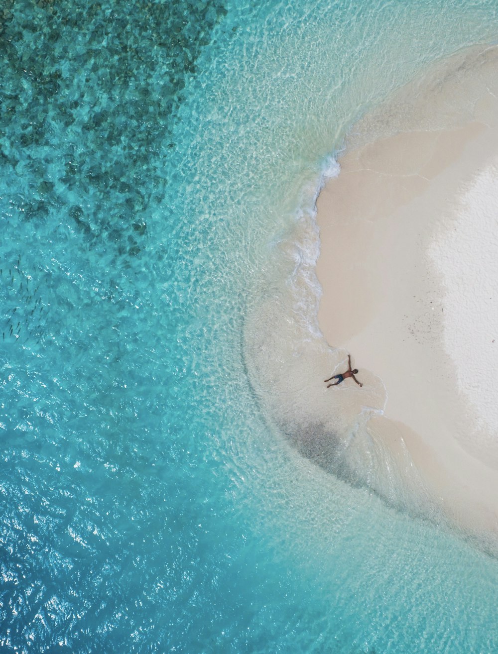 person lying on seashore