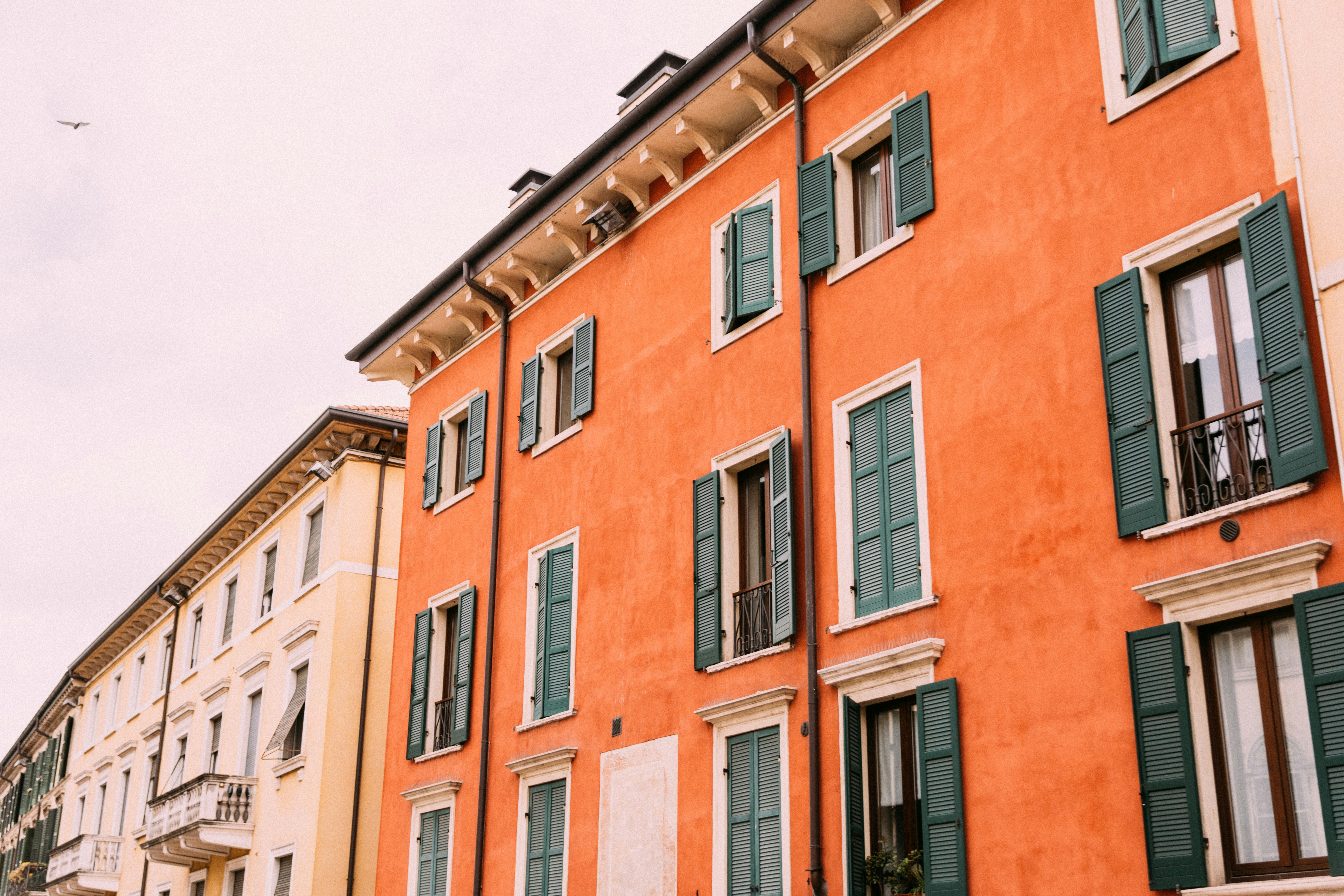 Photo by laurentzziu