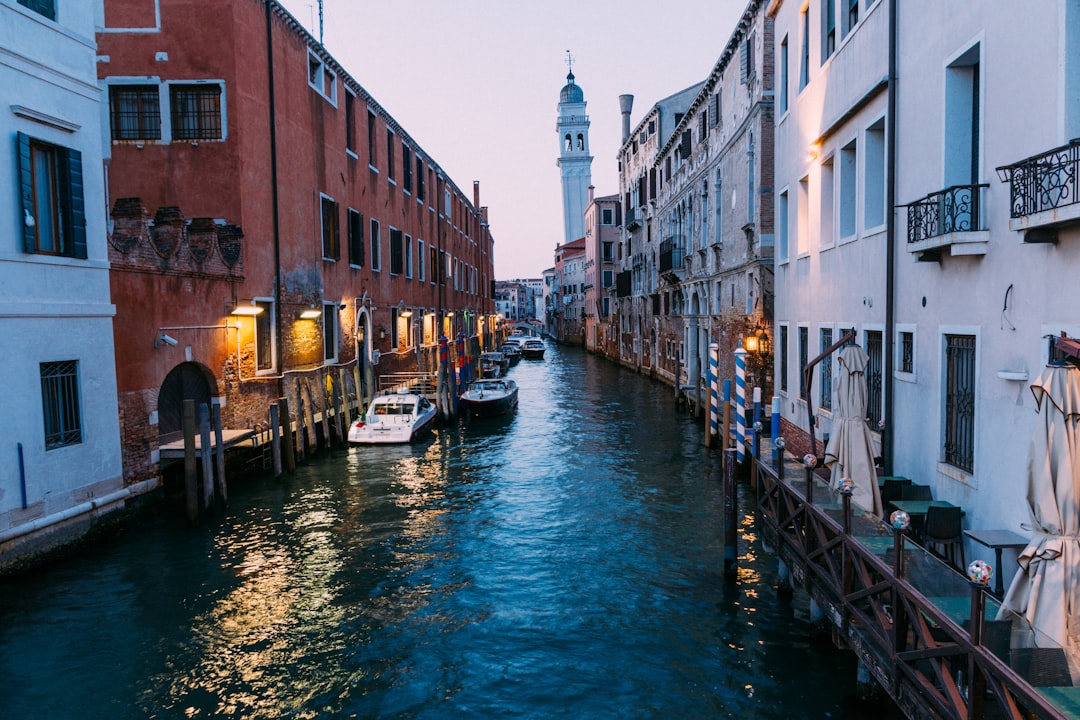 Venice Entry Fee - A New