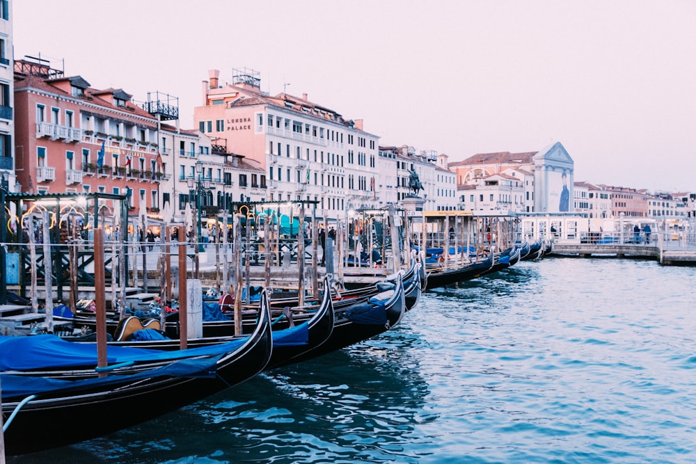 boats on water