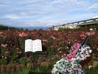 A lush garden filled with pink and red roses stretches into the distance. An open sheet of music stands prominently among the flowers, with notes visible on the pages. A decorative sculpture resembling a musical instrument, adorned with more roses, is placed next to the music stand. In the background, a clear blue sky and distant mountains add to the scenic view.