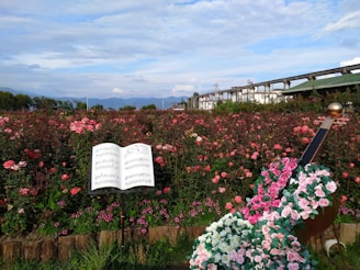 A lush garden filled with pink and red roses stretches into the distance. An open sheet of music stands prominently among the flowers, with notes visible on the pages. A decorative sculpture resembling a musical instrument, adorned with more roses, is placed next to the music stand. In the background, a clear blue sky and distant mountains add to the scenic view.