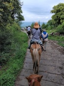 A group enjoying horseback riding along a forest trail near the guesthouse.