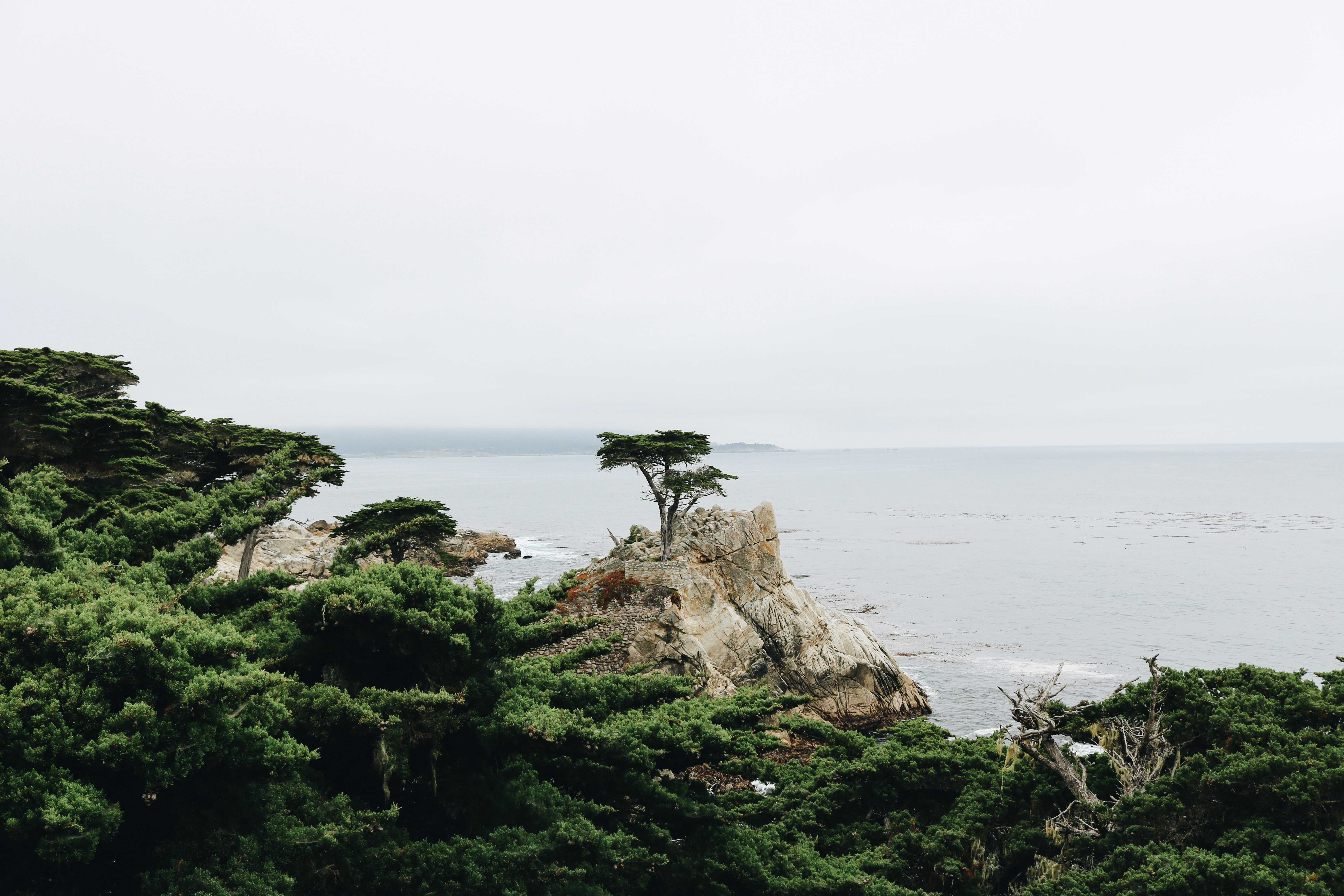 Photo by thomaskilbride