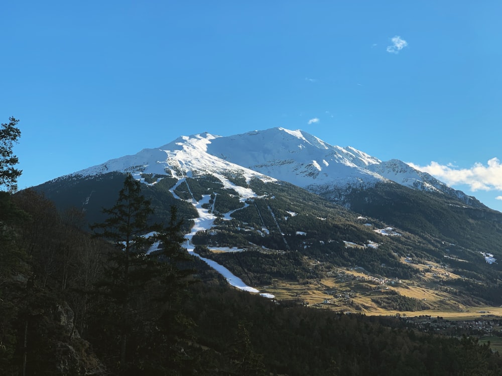 snow capped green mountain