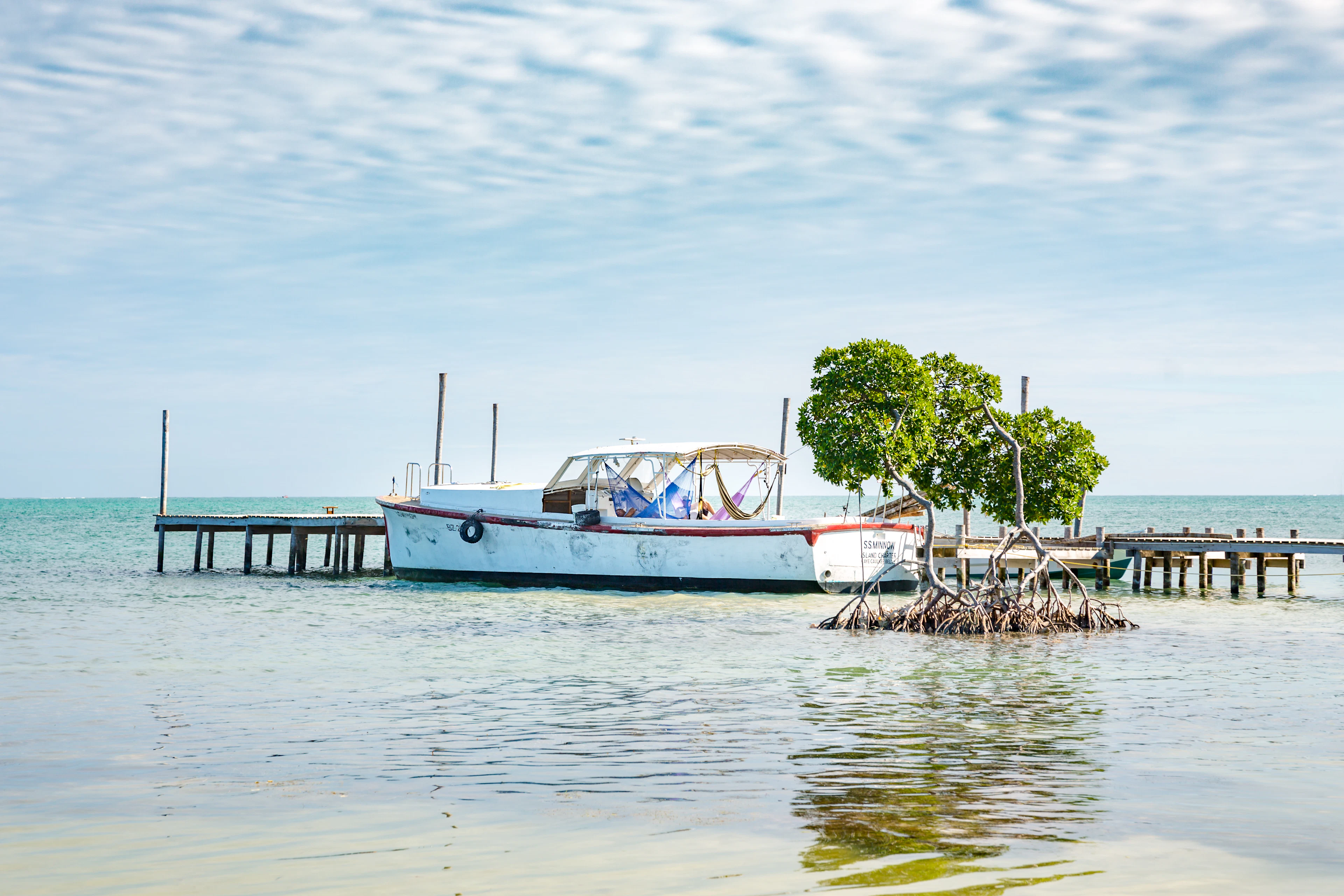An old white boat by wooden jetties and a mangrove in shallow turquoise water at Caye Caulker, Belize