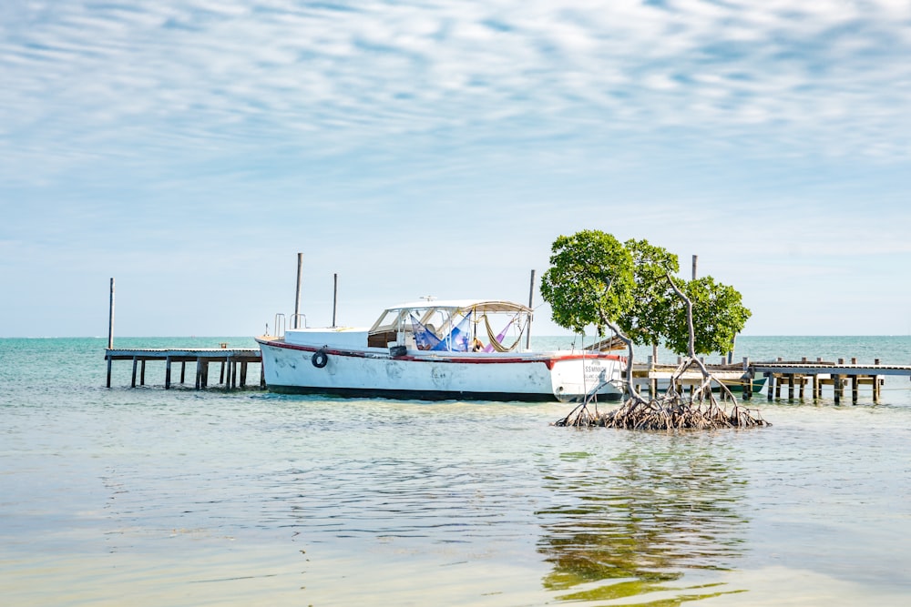 white boat