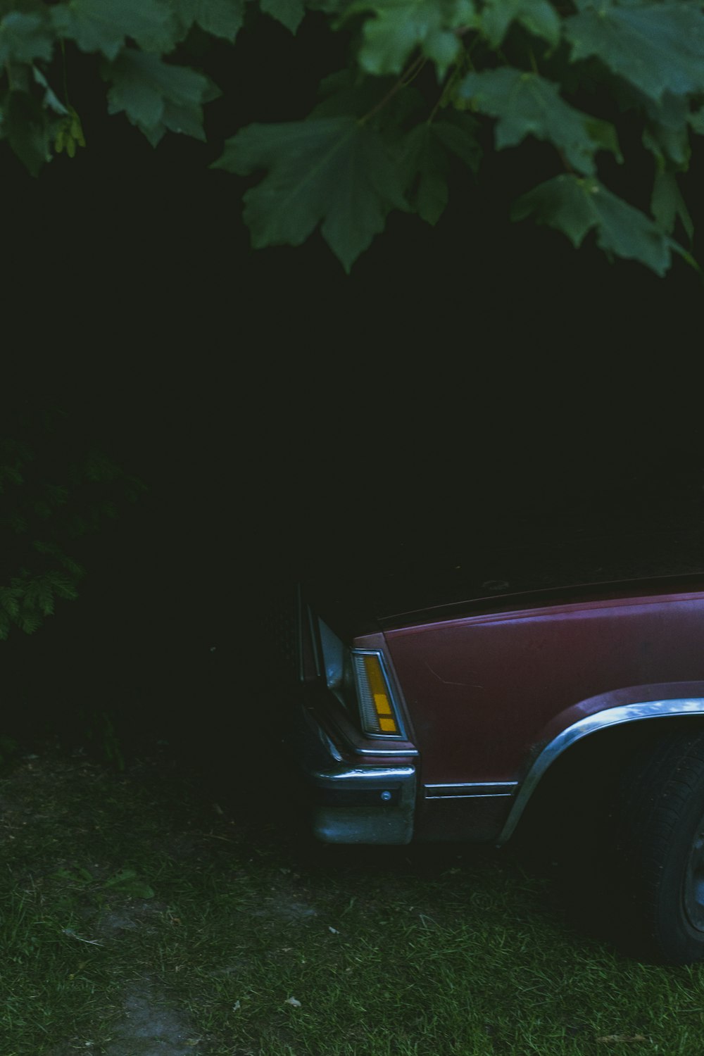 red vehicle under green tree