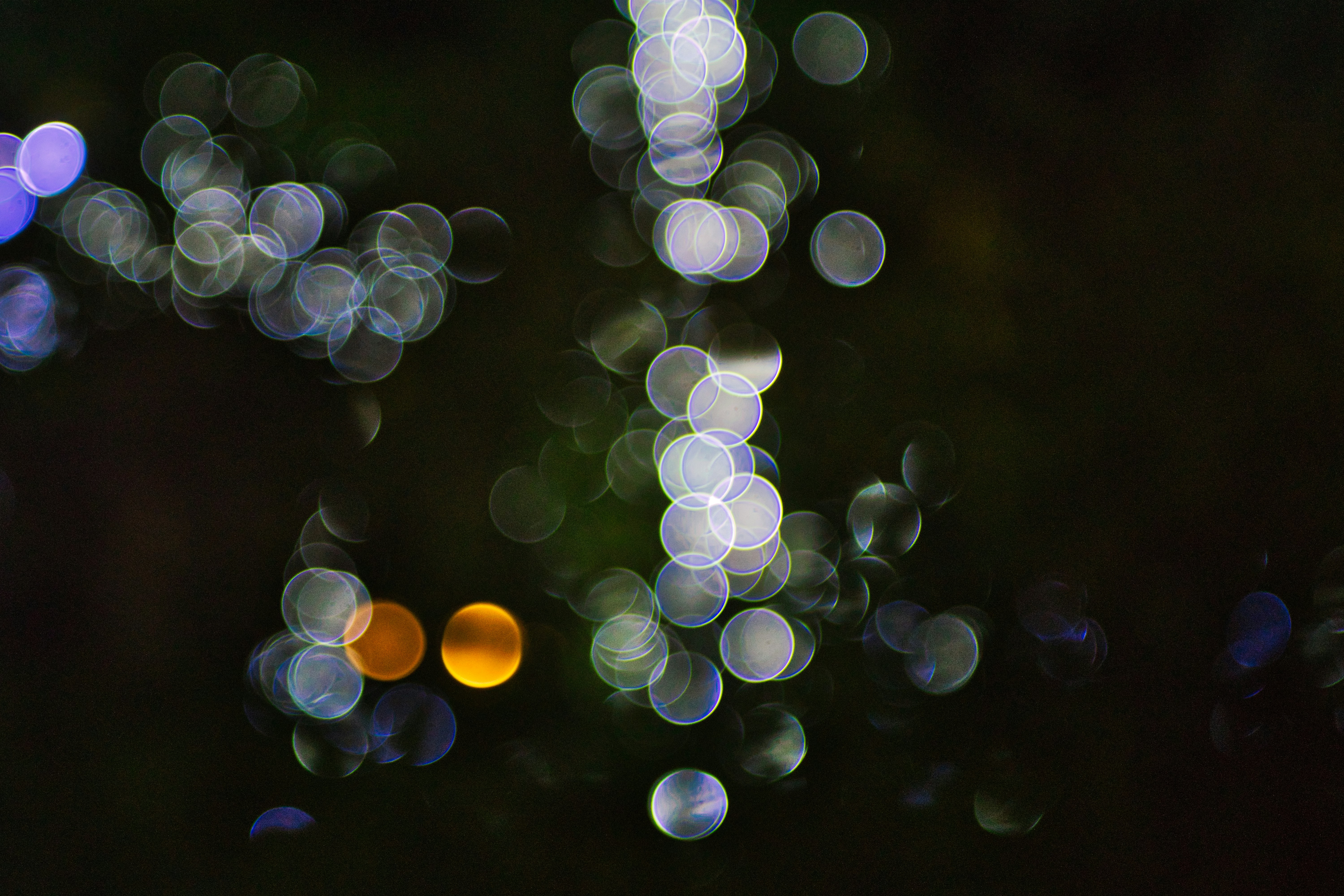 Photo by thomaskinto