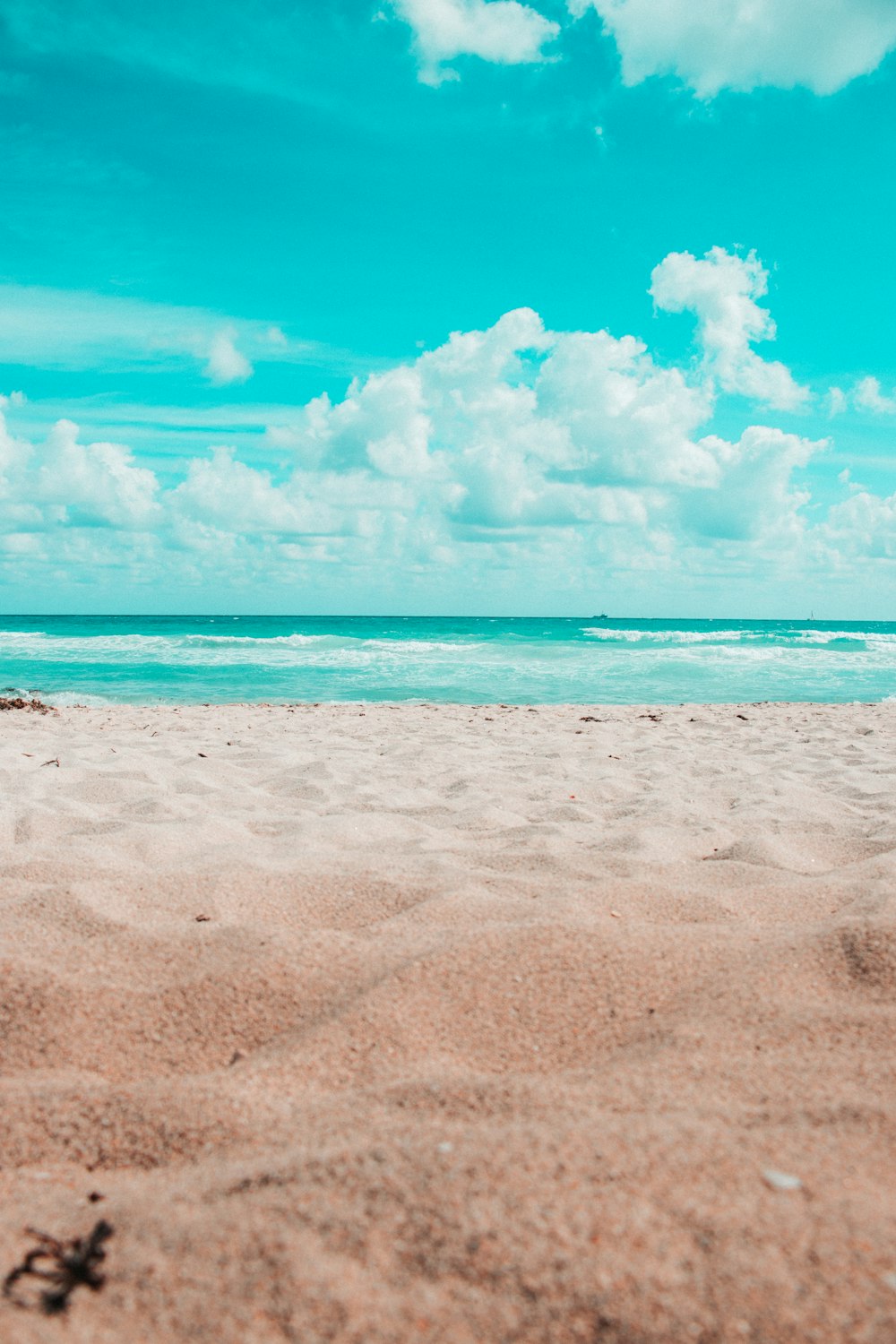 500+ Beach Love Pictures [HD] | Download Free Images on Unsplash