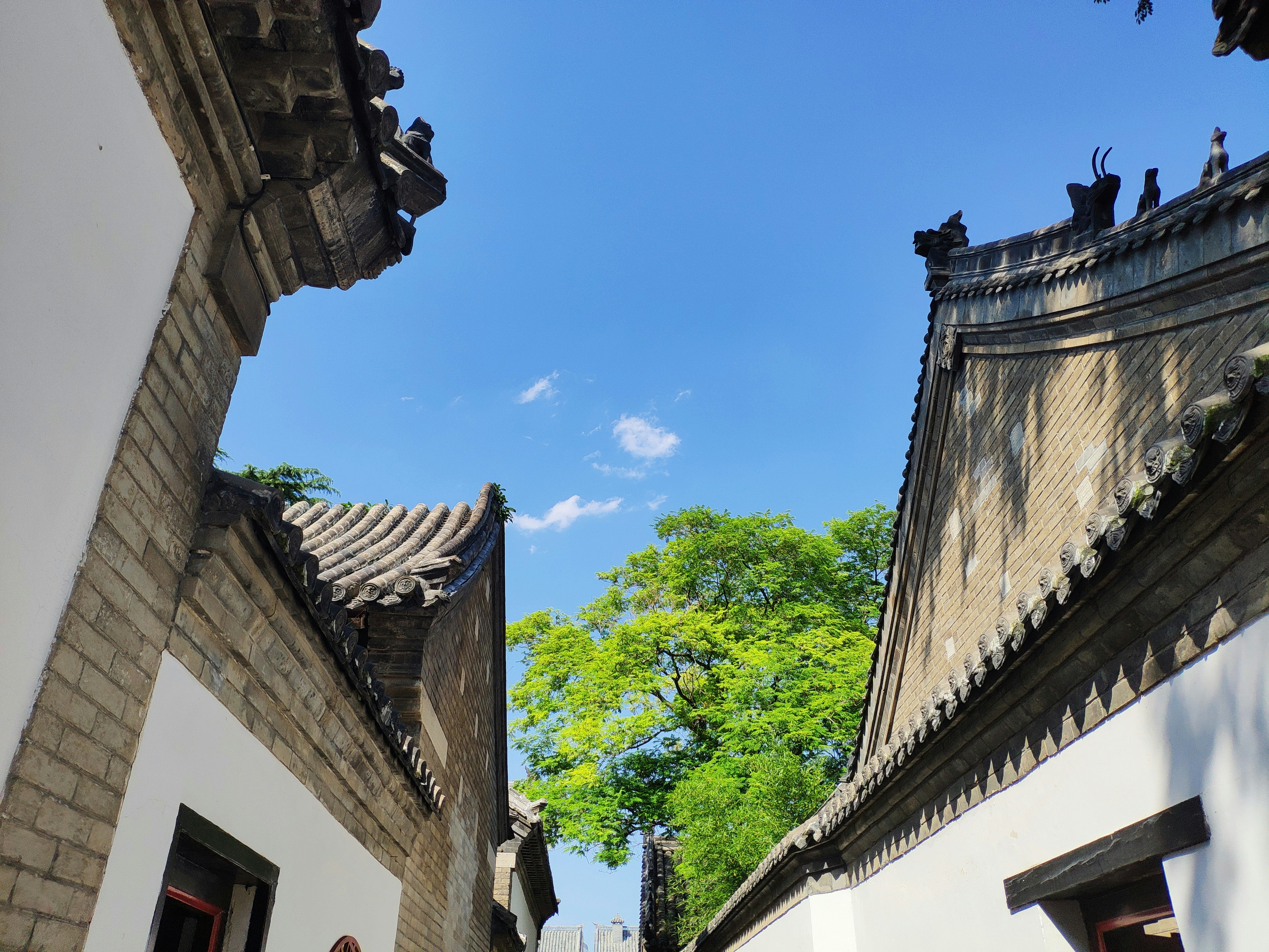 WEF destination photo