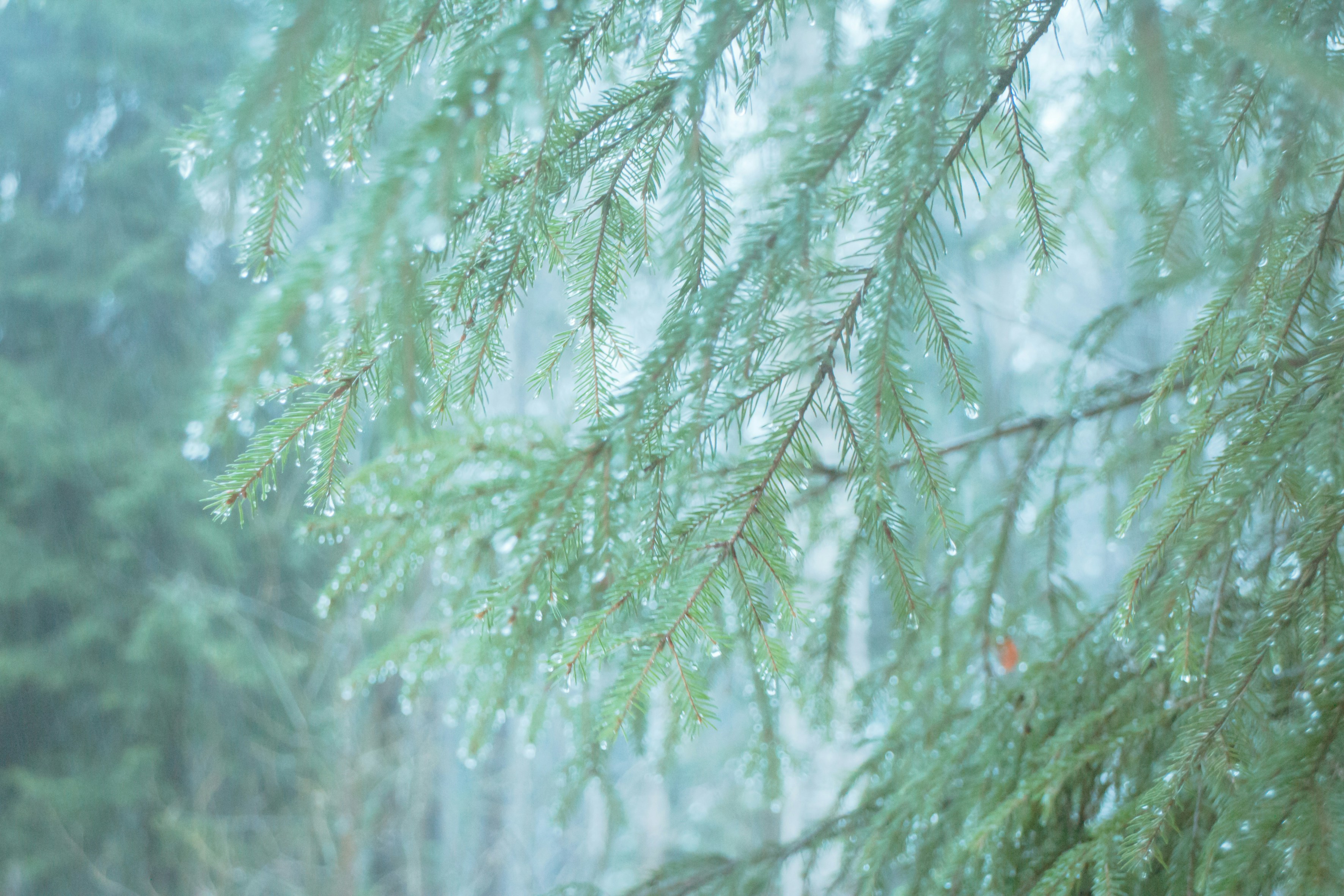 Photo by 77yukiki