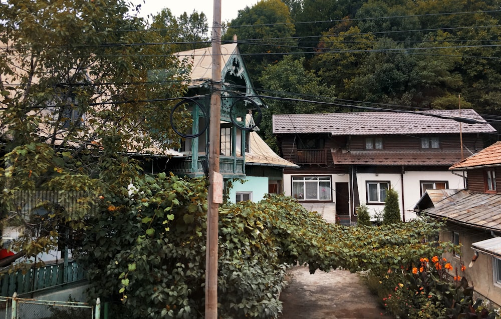 empty pathway near the houses during daytime