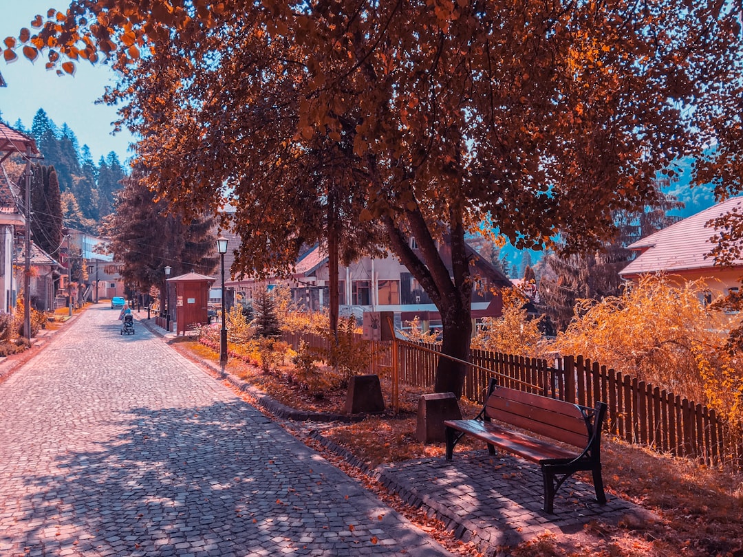 vacant brown and black bench during daytime